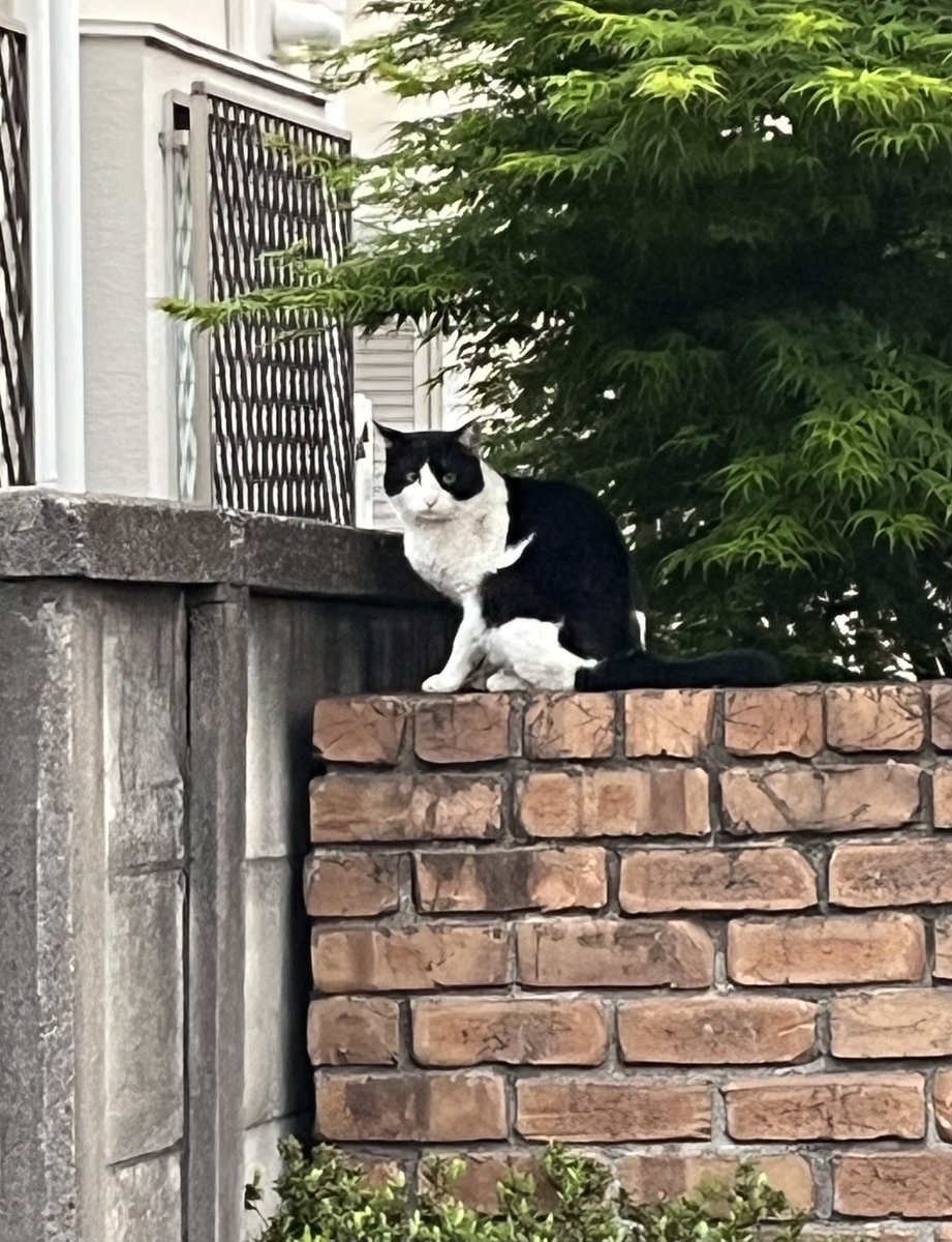 渡辺等 tweet media