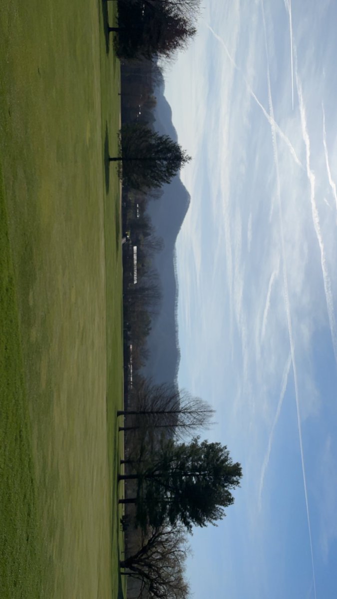 Whit Coggin tweet media