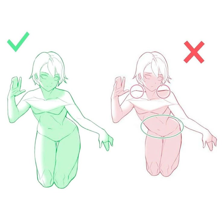 DrFonts's tweet image. A reference for artists seeking to improve their body structure.