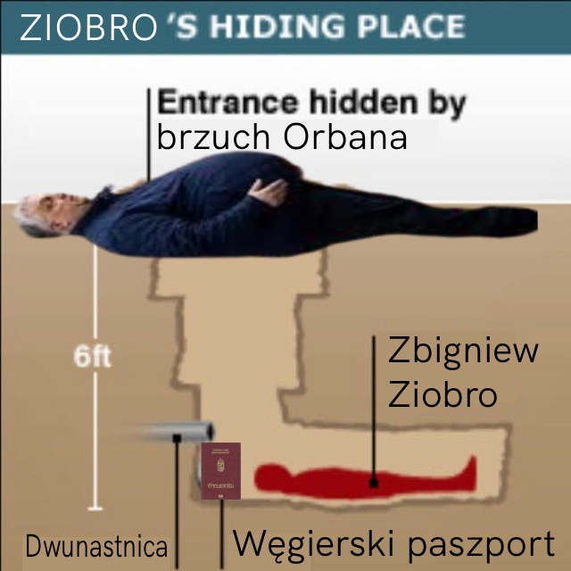 Sebastian Prukała tweet media