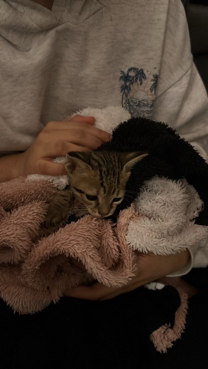 بيرثا tweet media