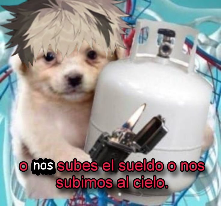 XENO 🧬 tweet media