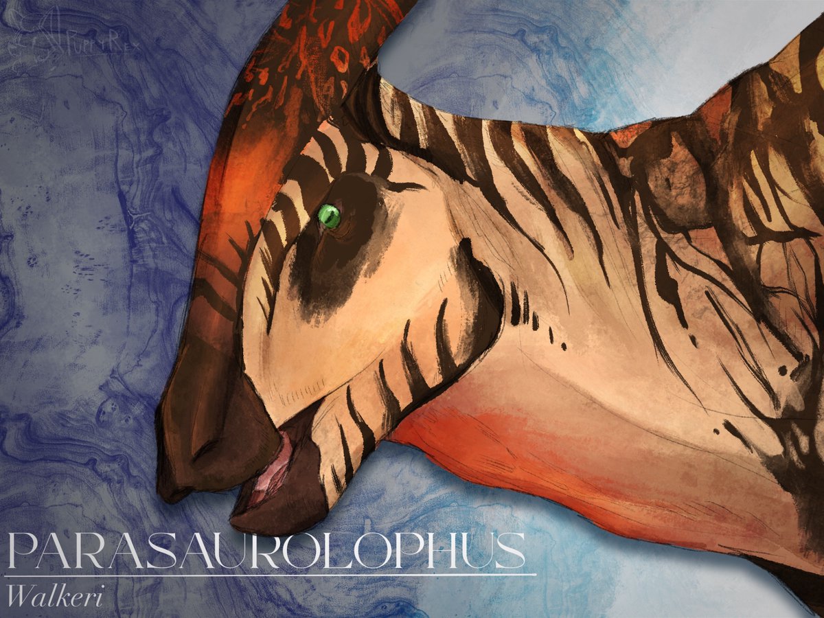 Sinosauropteryx tweet media