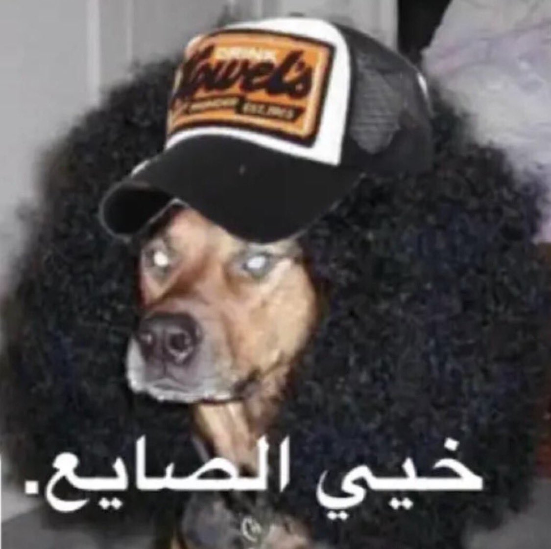 محسن tweet media