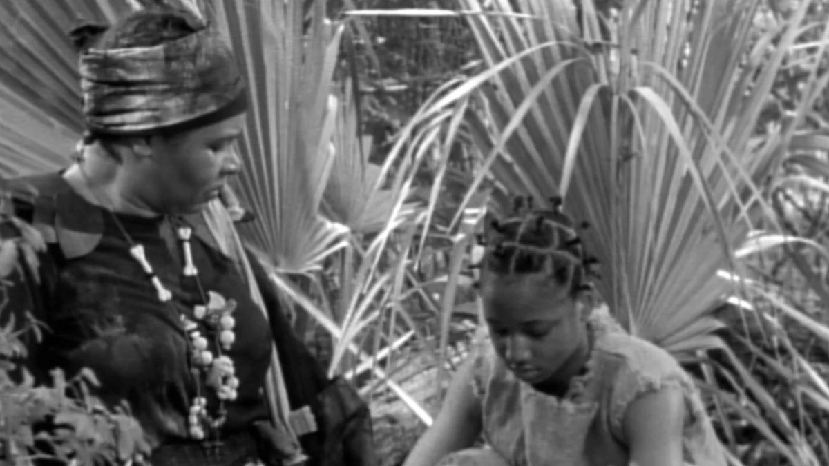 Benzo Stray Dogs tweet media