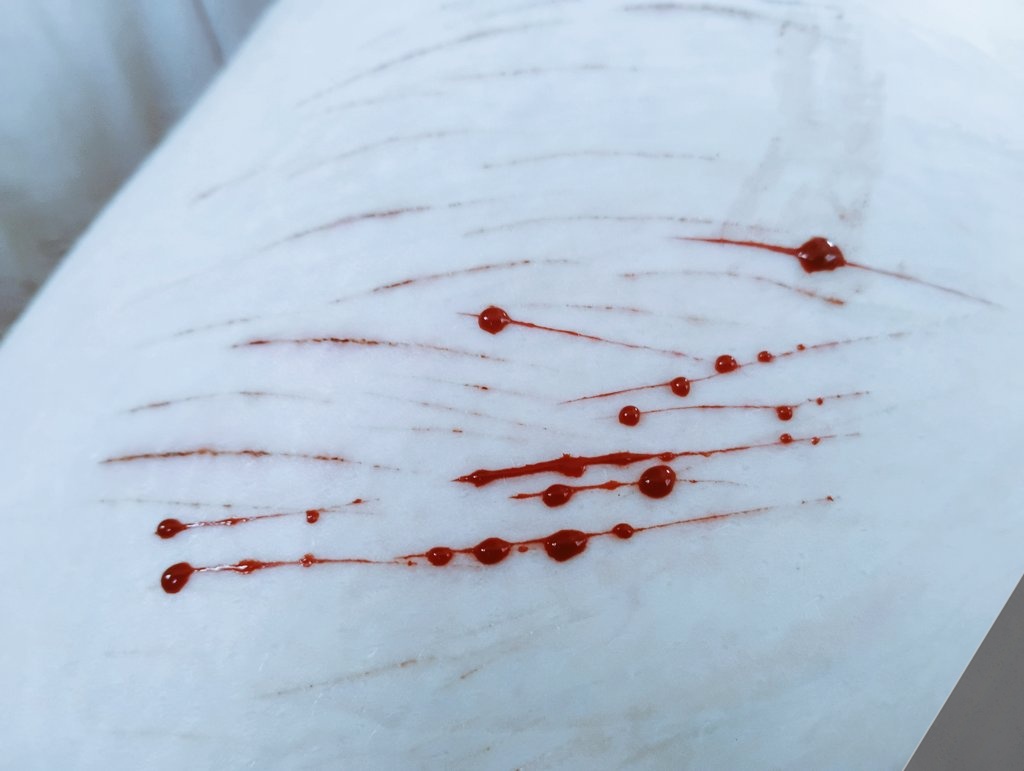 gerbil of shedtwt tweet media