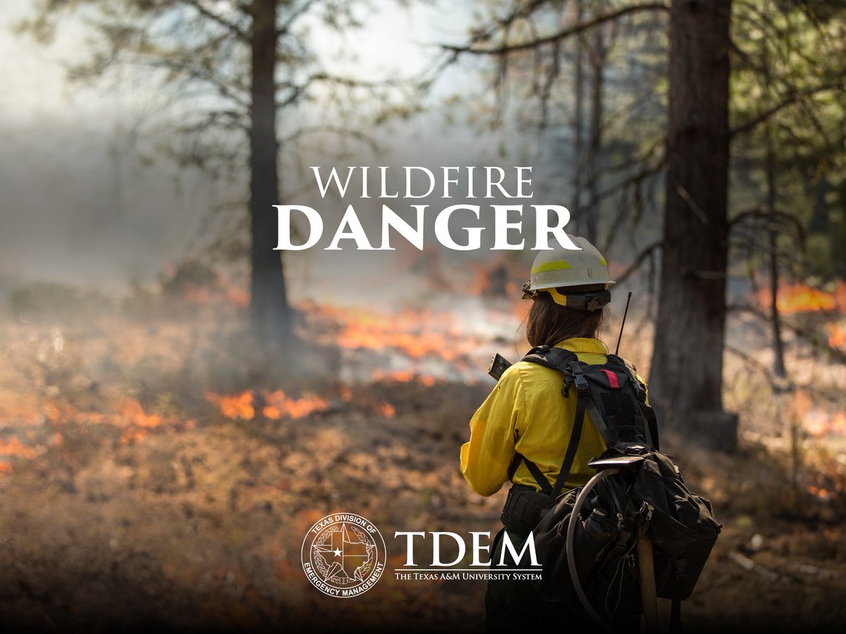Texas Division of Emergency Management tweet media