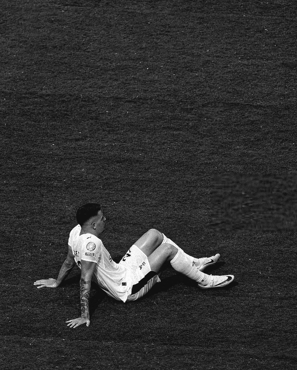 محمد | Mohammed tweet media