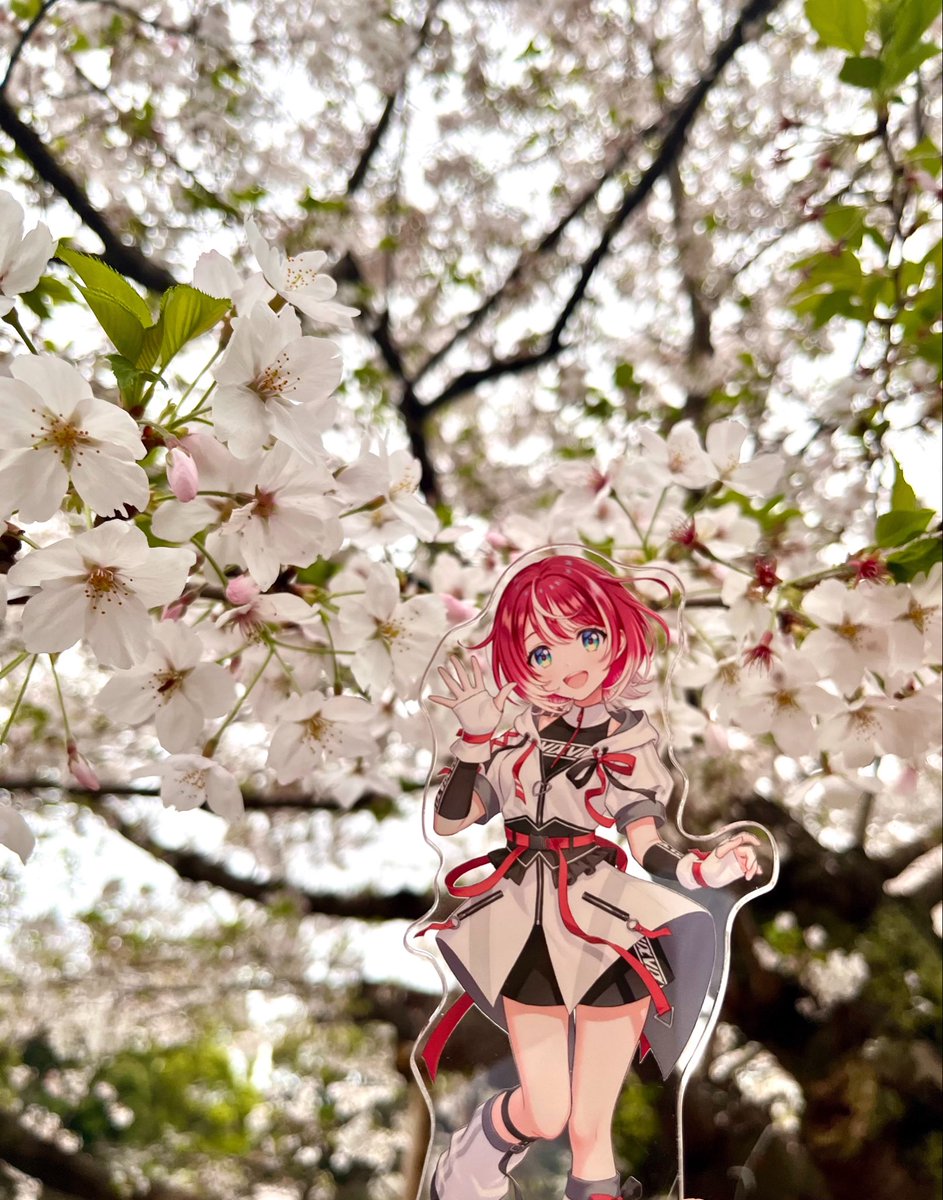 わんおぶ tweet media