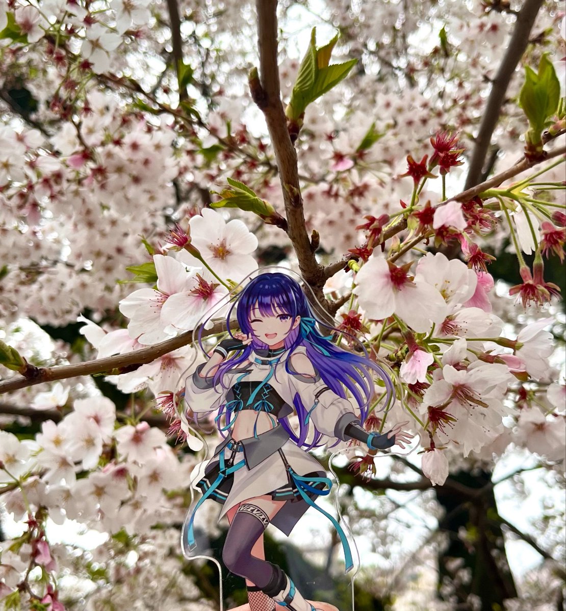 わんおぶ tweet media