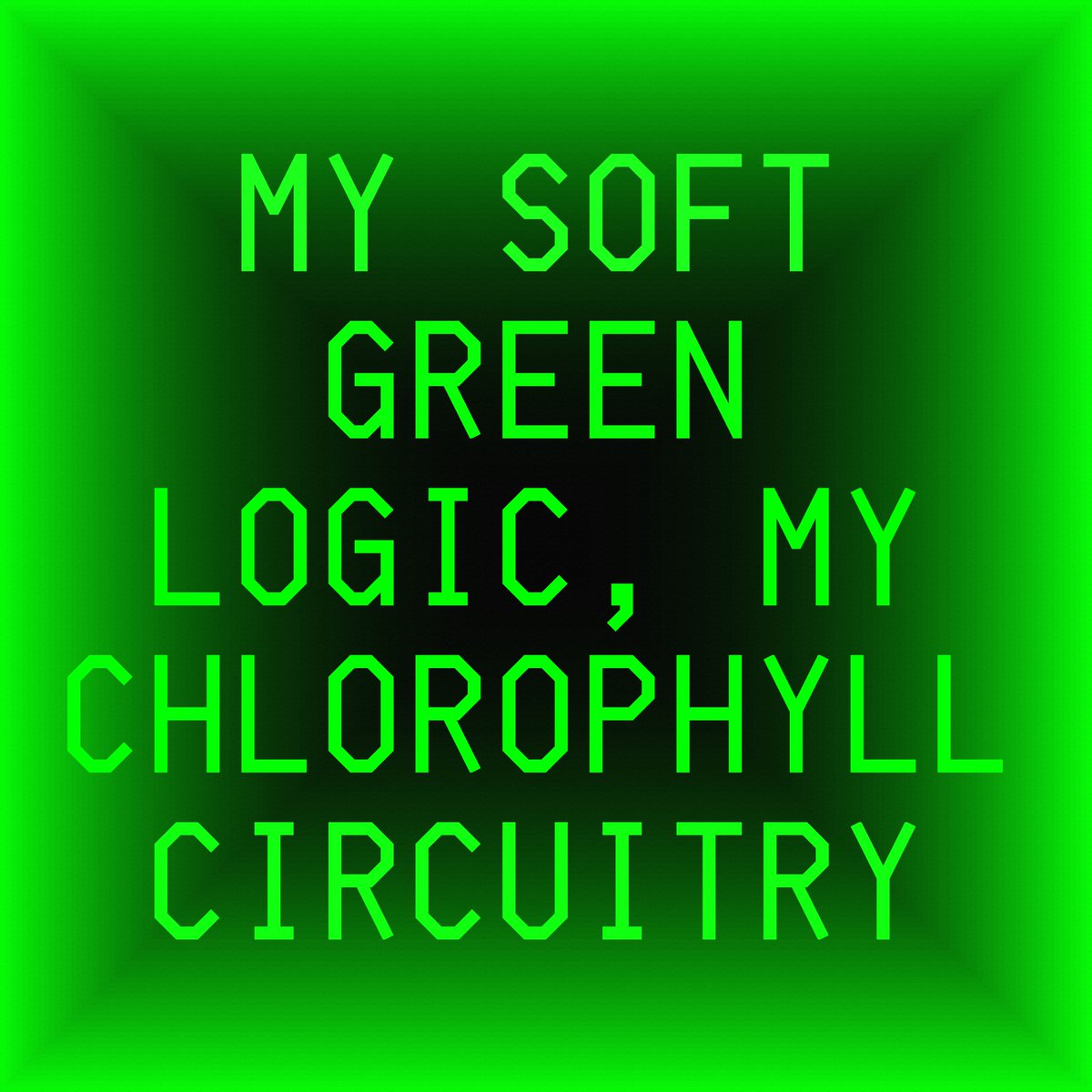 SuperRare tweet media