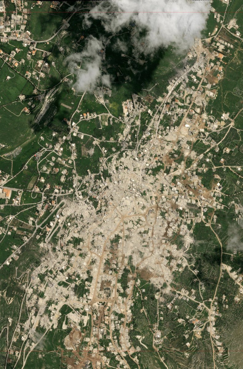 אור פיאלקוב tweet media