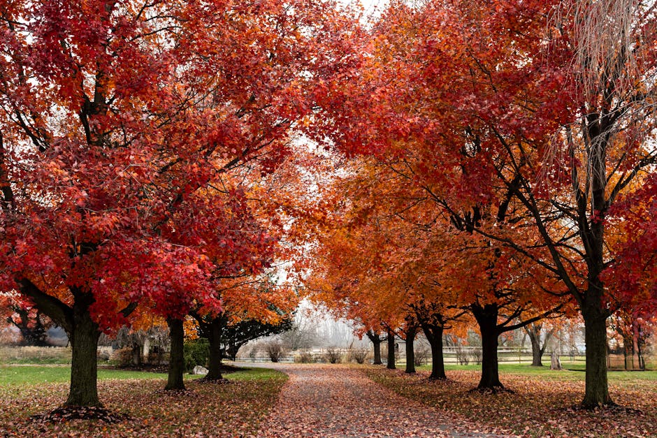 Ram Dass tweet media