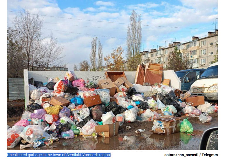 Capella the Fella... Chief of Insecurity tweet media