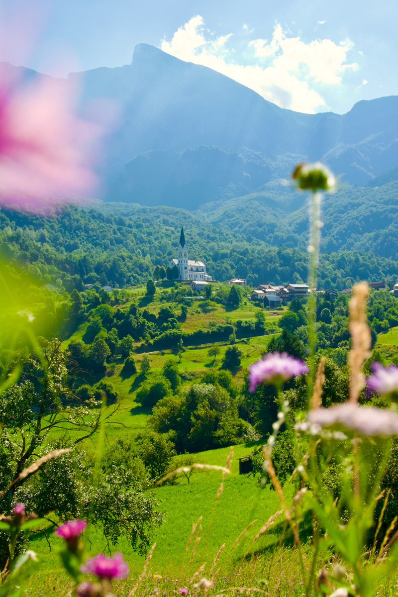 Exploring Slovenia tweet media