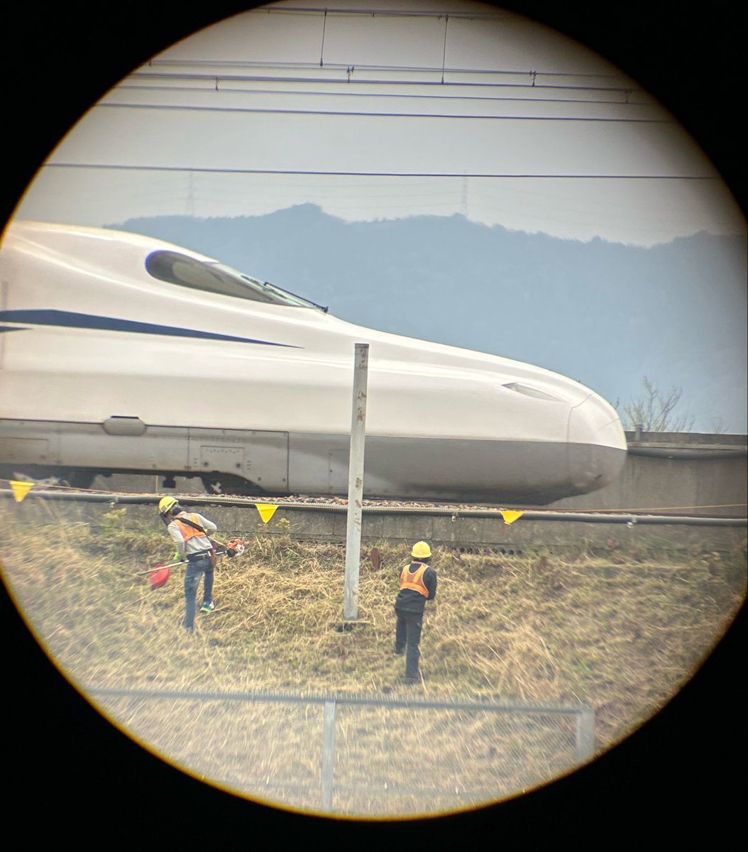 ぬくぬくtomo🌈 tweet media