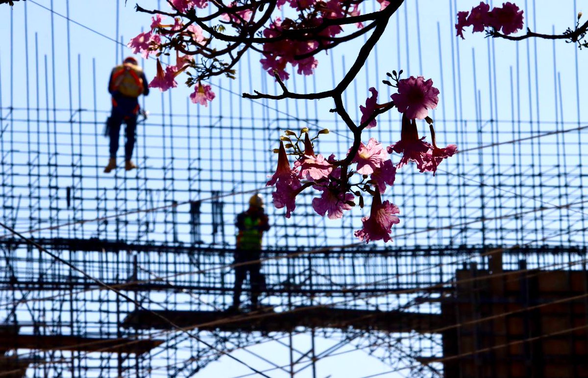 Estadio YU'VA - Casa de los Guerreros tweet media