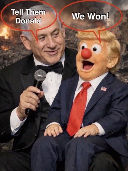 Tim Collins tweet media