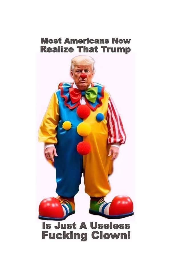 Tim Collins tweet media