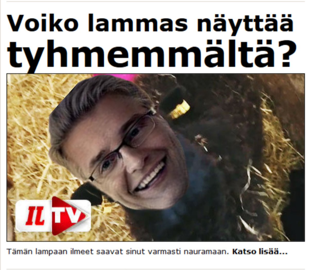 Vitjavaari tweet media
