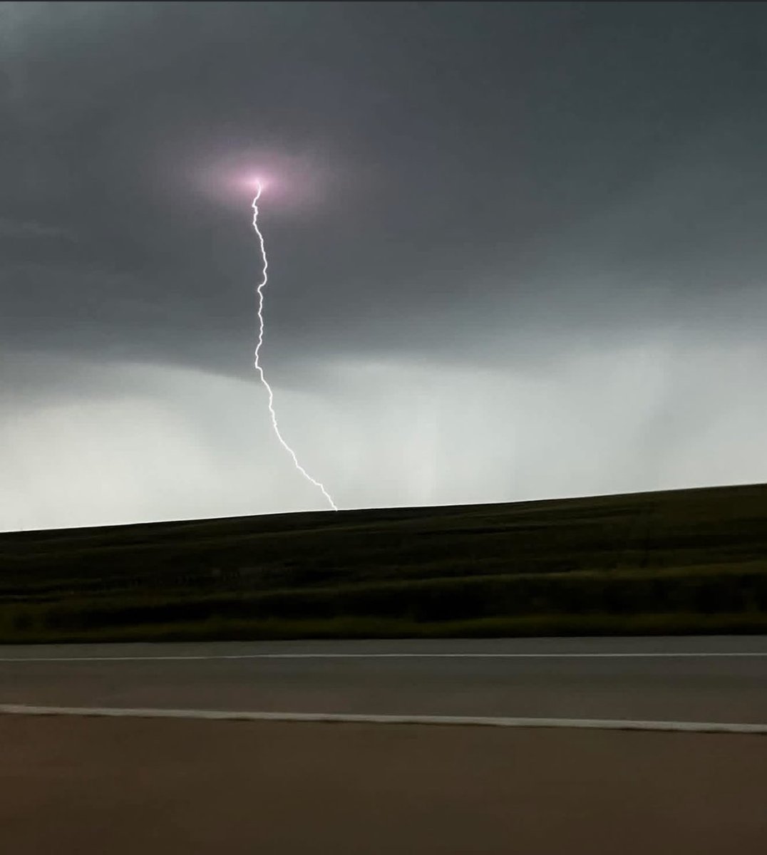 ReformedPatriot tweet media