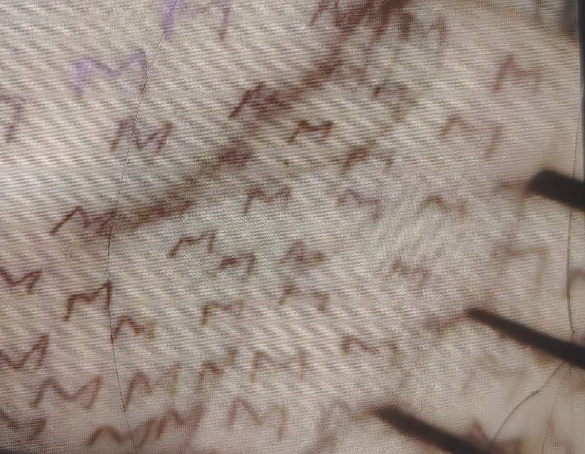 Amreen_shafqat tweet media