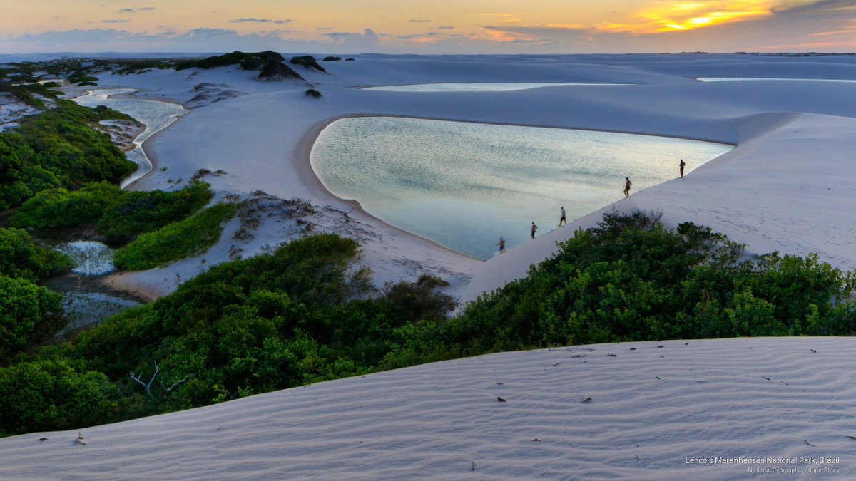 miraculousearth's tweet image. 📷 Photo 266:
📍Maranhao, Brazil

Is tourism ruining unique landscapes like this?
#Brazil #Travel #Earth