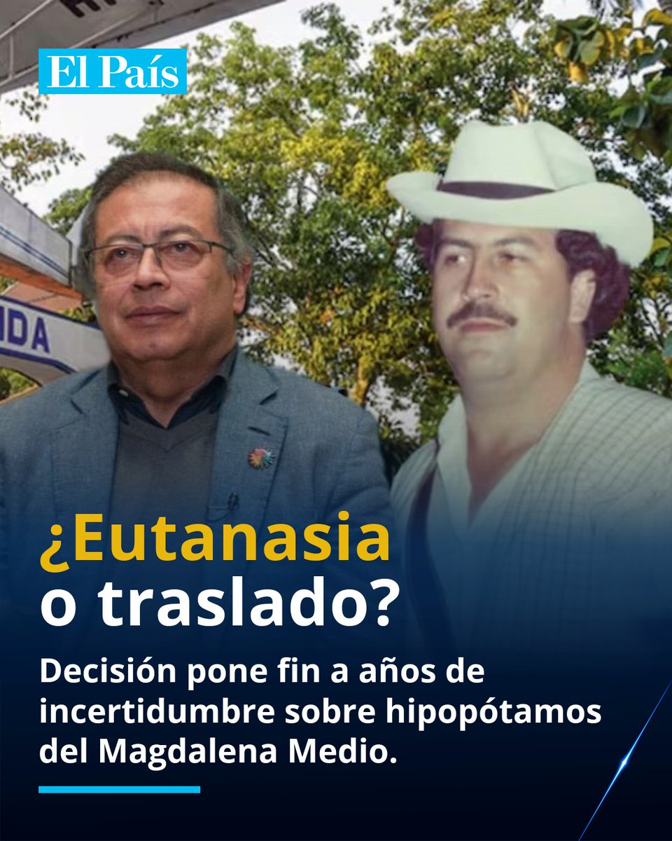 El País Cali 📰 tweet media