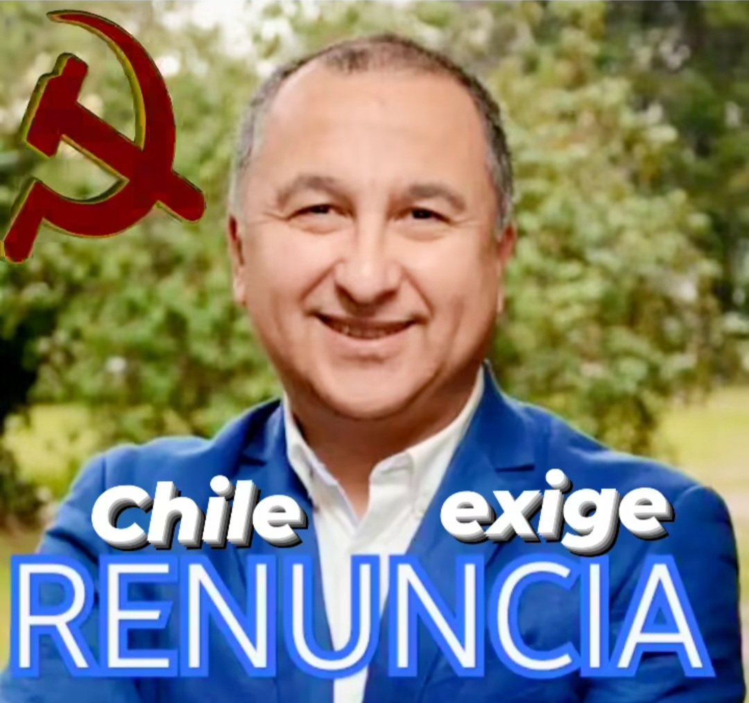 Amalia 🇨🇱🇨🇱 tweet media