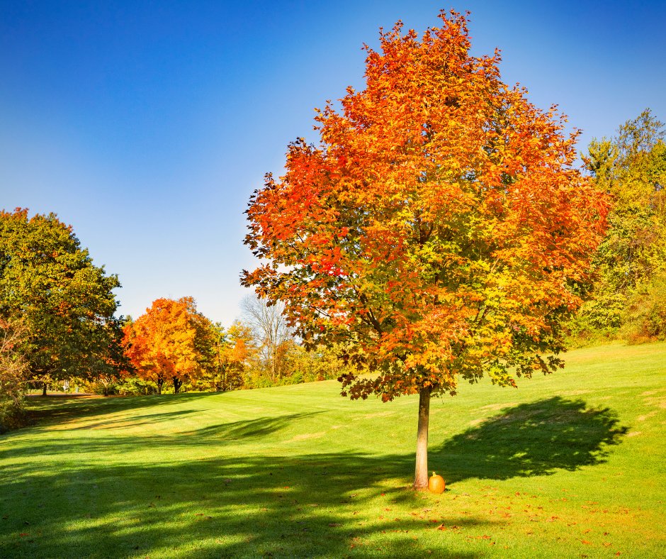 Remain grateful for every outcome. Every outcome. Gratitude is the connecting energy to God.