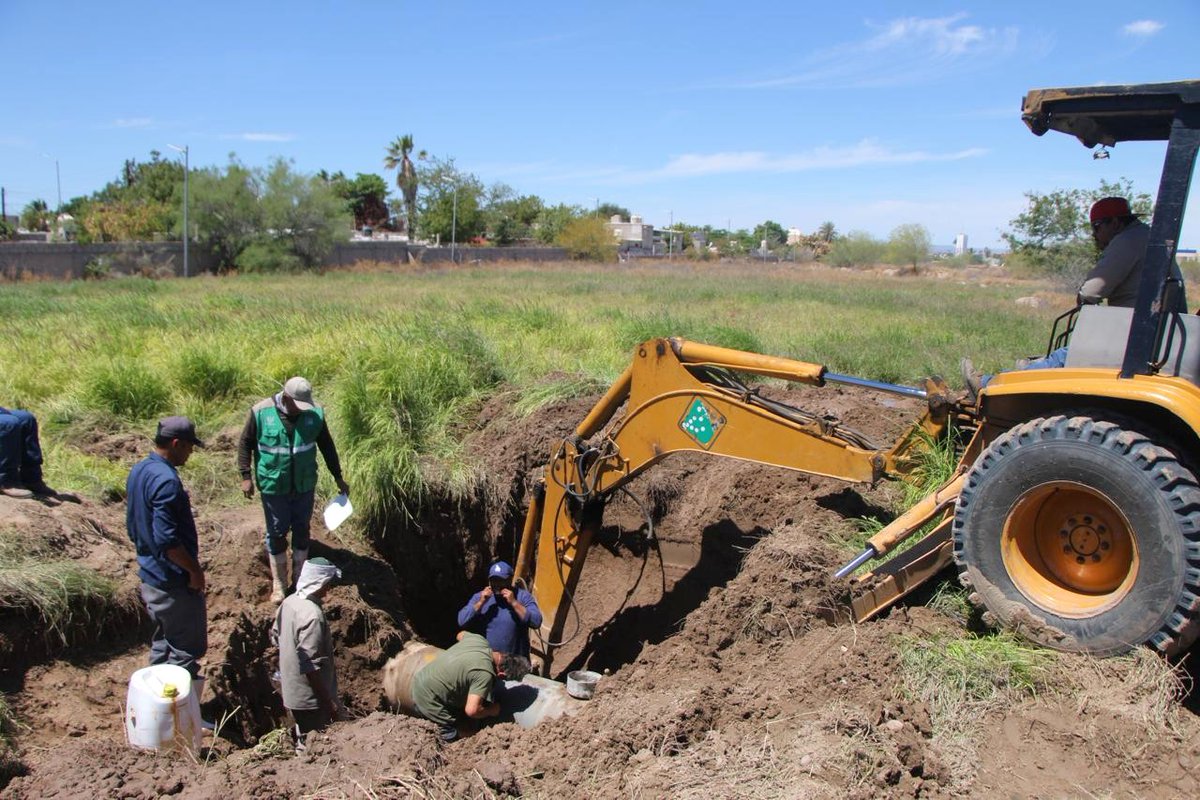 SAPA La Paz tweet media