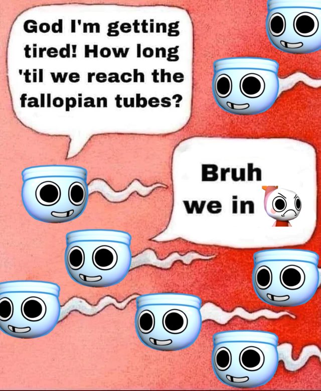 TheMcdonaldsFarmer tweet media