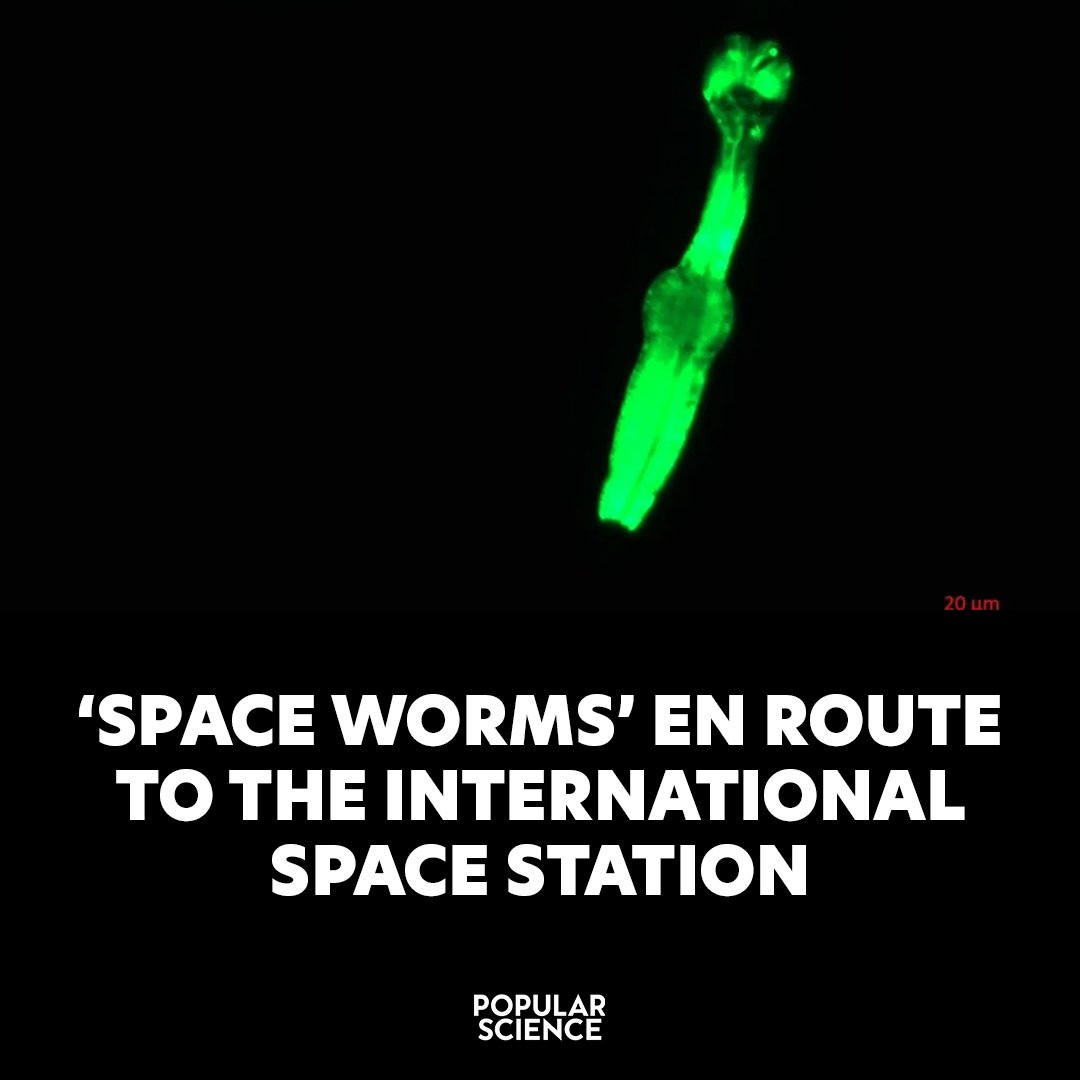 Popular Science tweet media