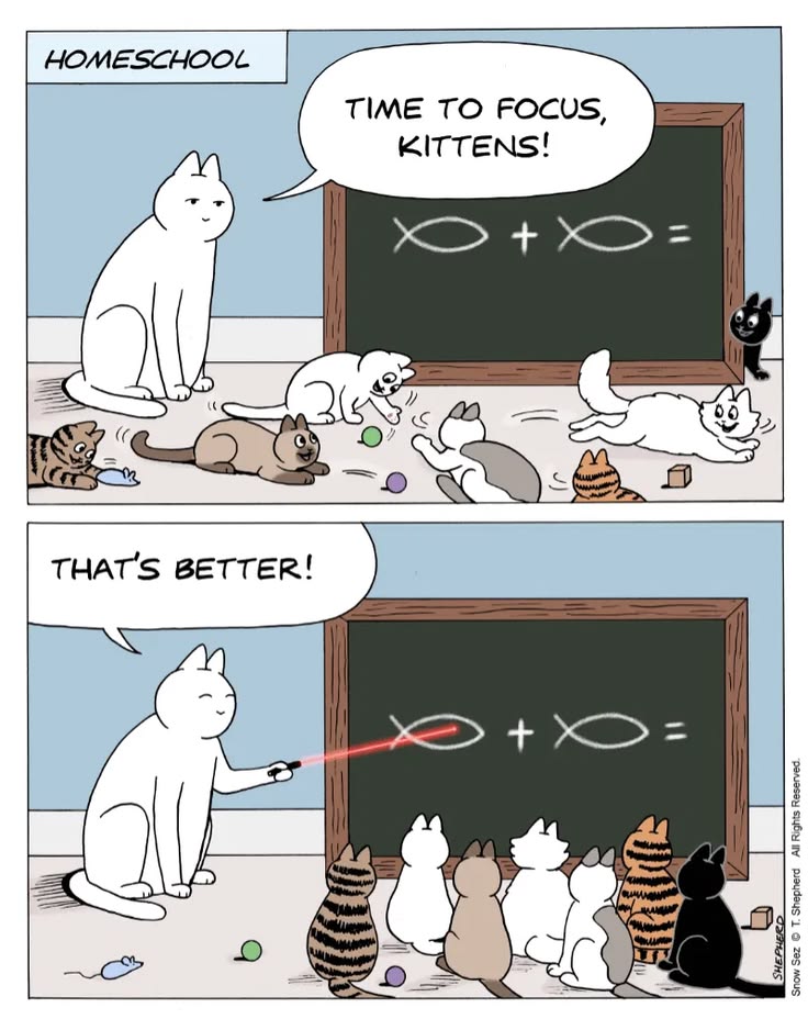 Thepetsonly's tweet image. 