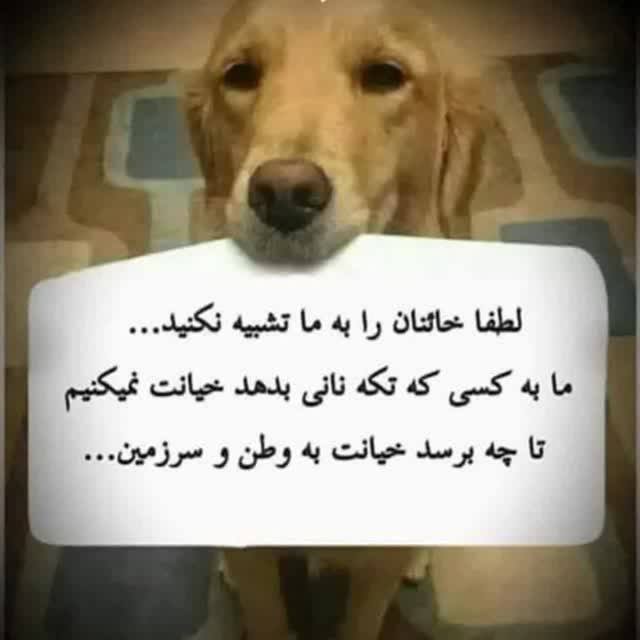 راحتولوژ tweet media