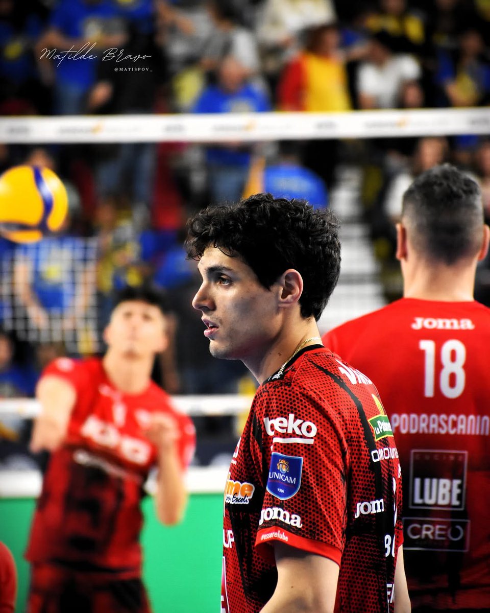 archive mattia bottolo tweet media