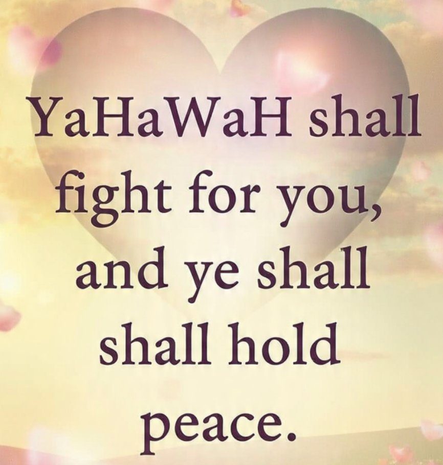 JasperStoneRev4:3 tweet media