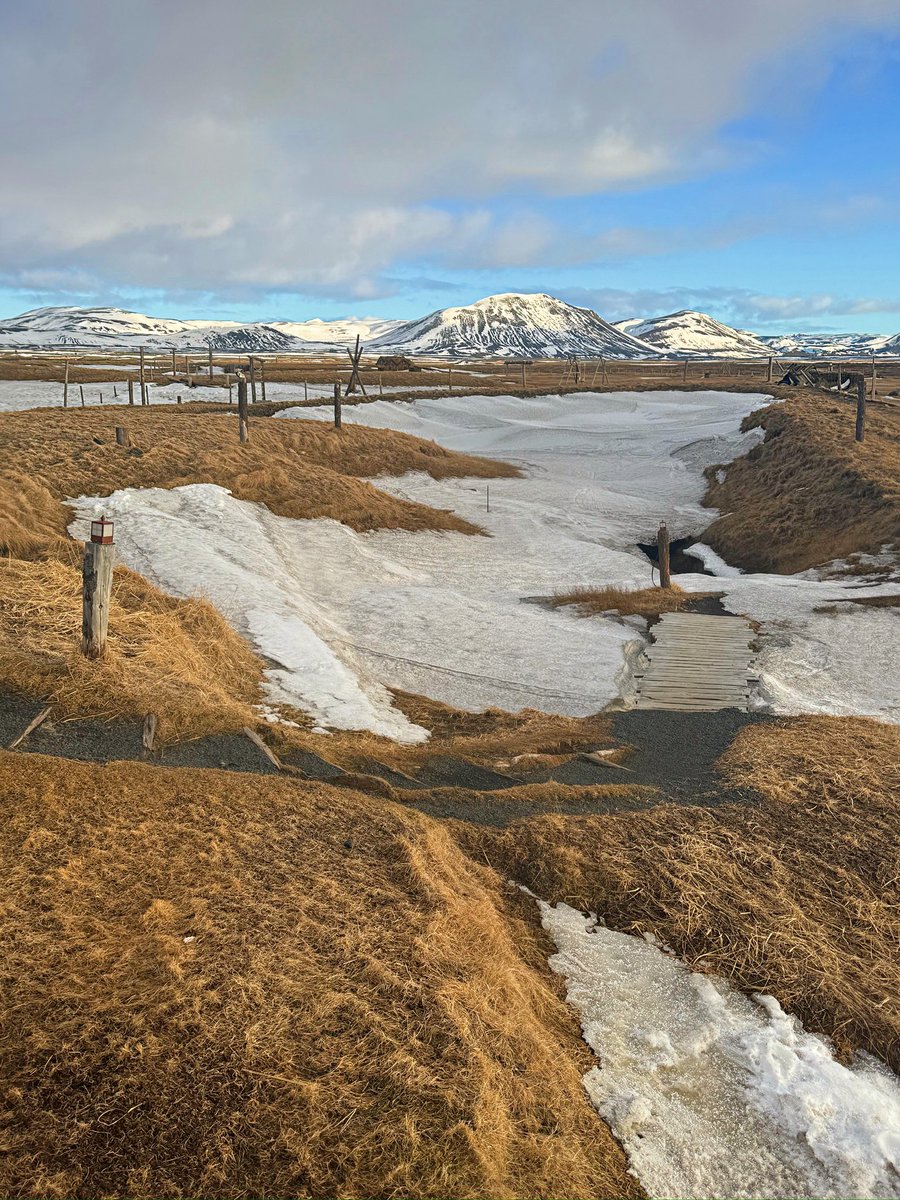 RH de Supermercado tweet media