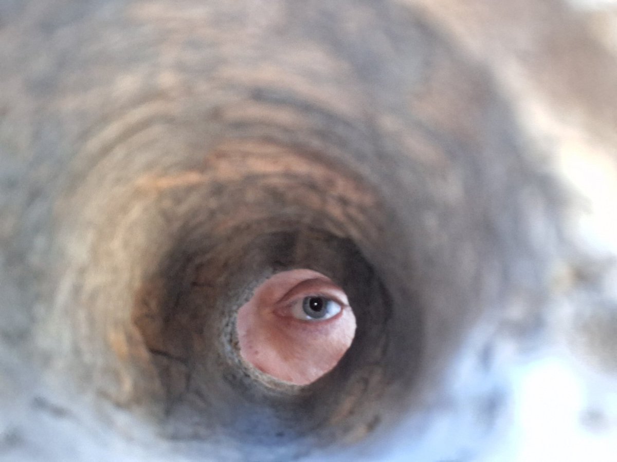 Goddess Beth 🤍🔥 tweet media