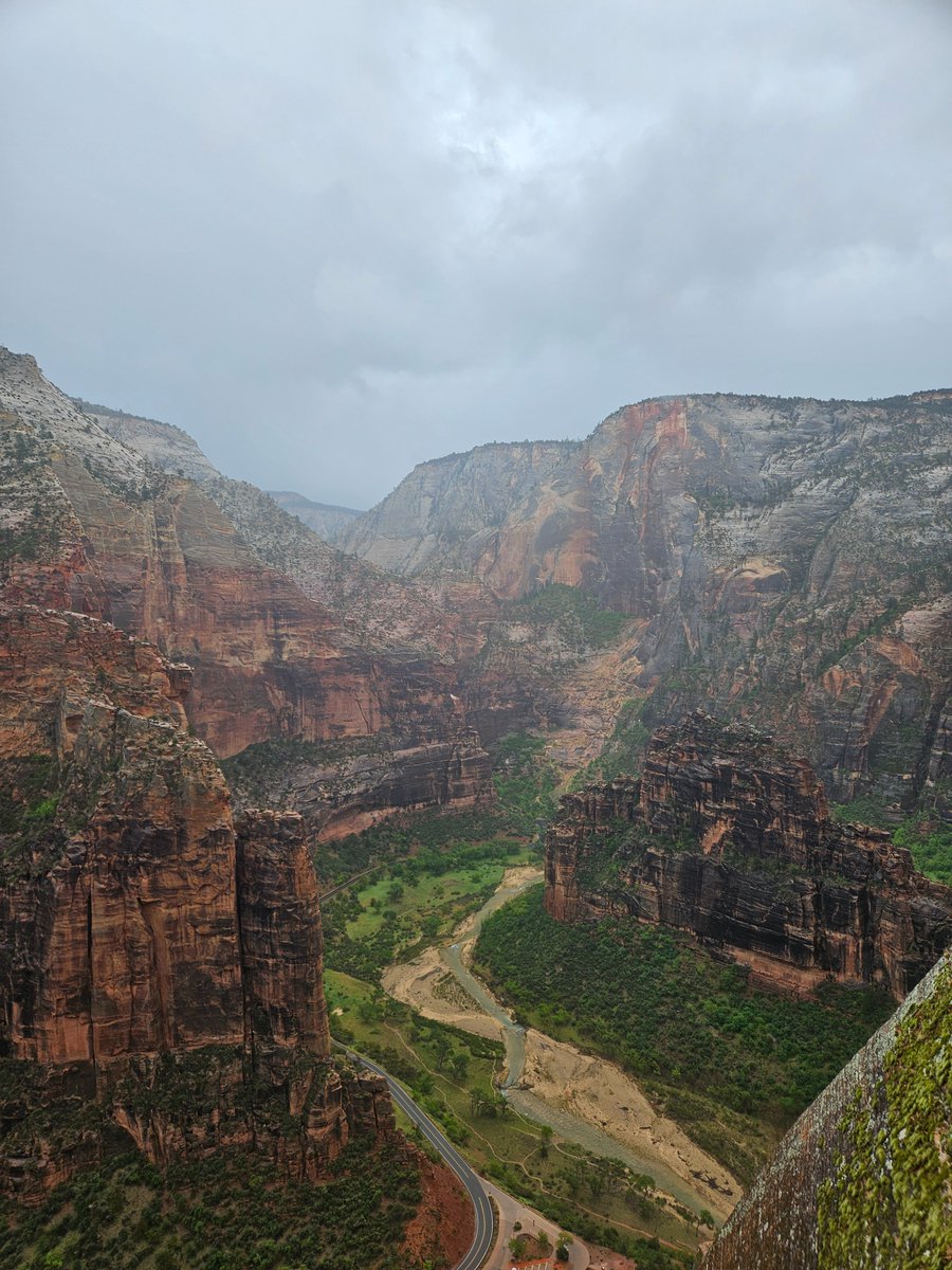 nui ✨️ 🔜 zion birfday 🎂 (4/15) tweet media