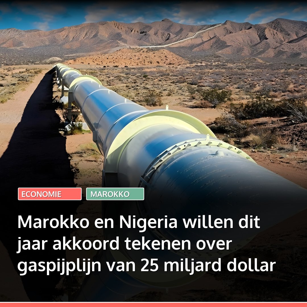 marokko's tweet image. Marokko en Nigeria willen dit jaar een intergouvernementeel akkoord tekenen over de gasleiding van 25 miljard dollar (circa 22 miljard euro). Die moet West-Afrika verbinden met Marokko en later ook gas naar Europa brengen.
👉🏽 Lees: l.marokko.nl/hRZHyUrj 👈🏽

#marokko