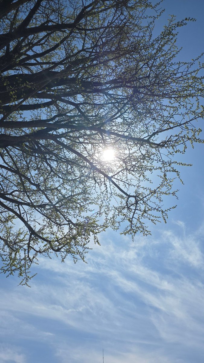 tappu（ﾀｯﾌﾟ/ fuji_vega2016） tweet media