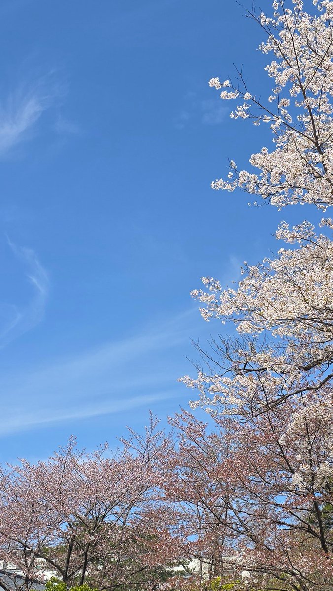 tappu（ﾀｯﾌﾟ/ fuji_vega2016） tweet media