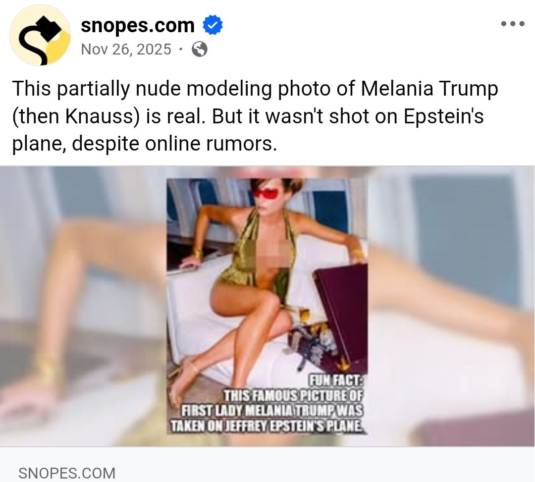 Demon Fly tweet media