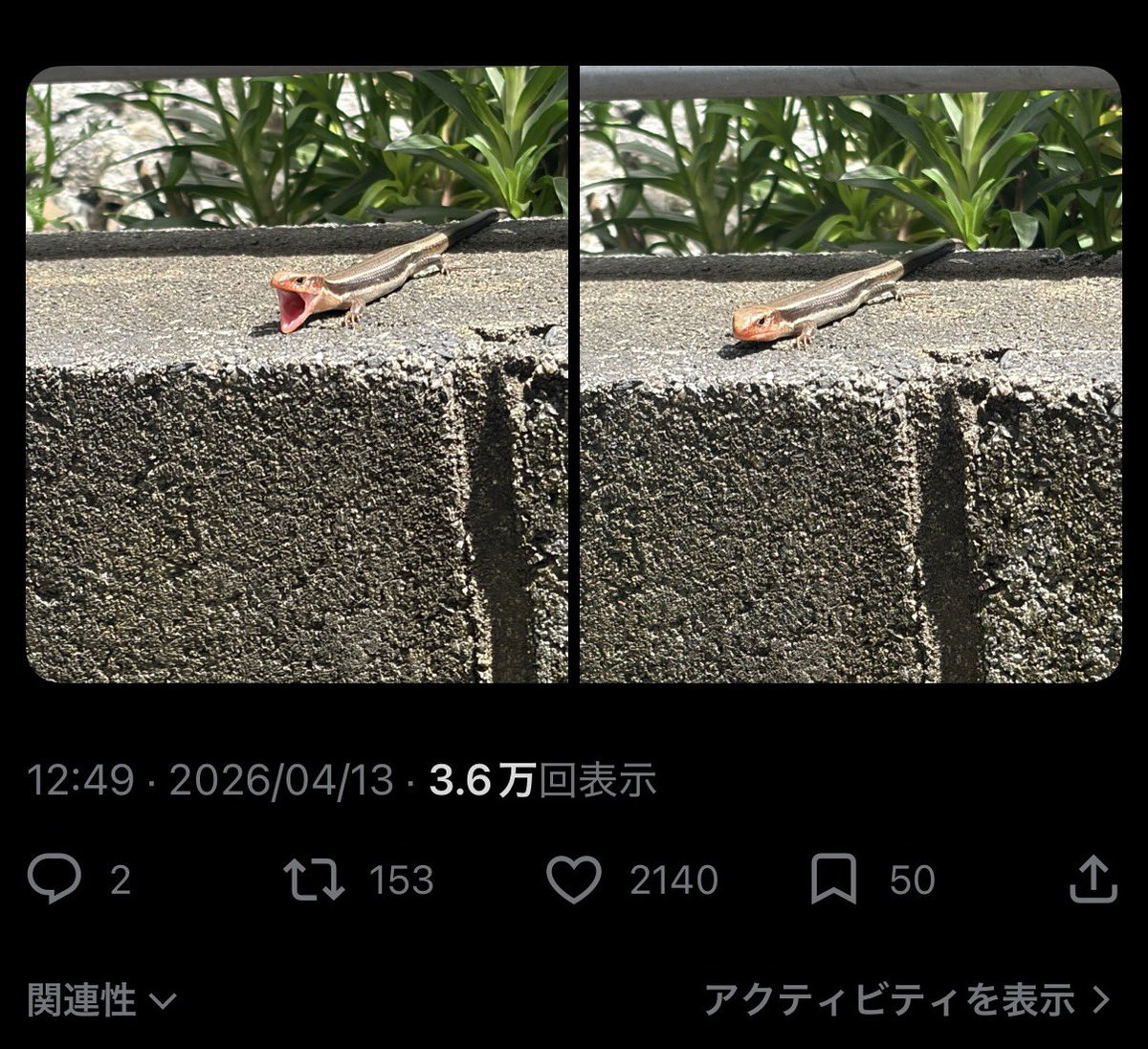 えだちゃん tweet media