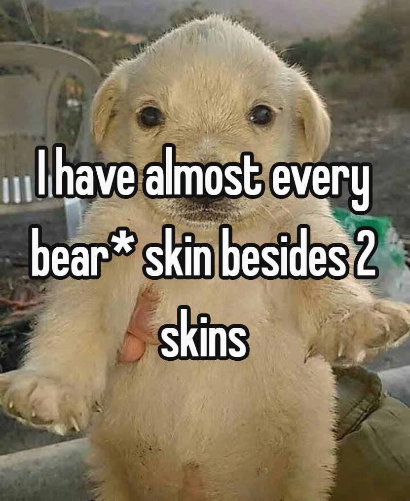 Beartwt whispers / confessions ● Psychic Bear tweet media