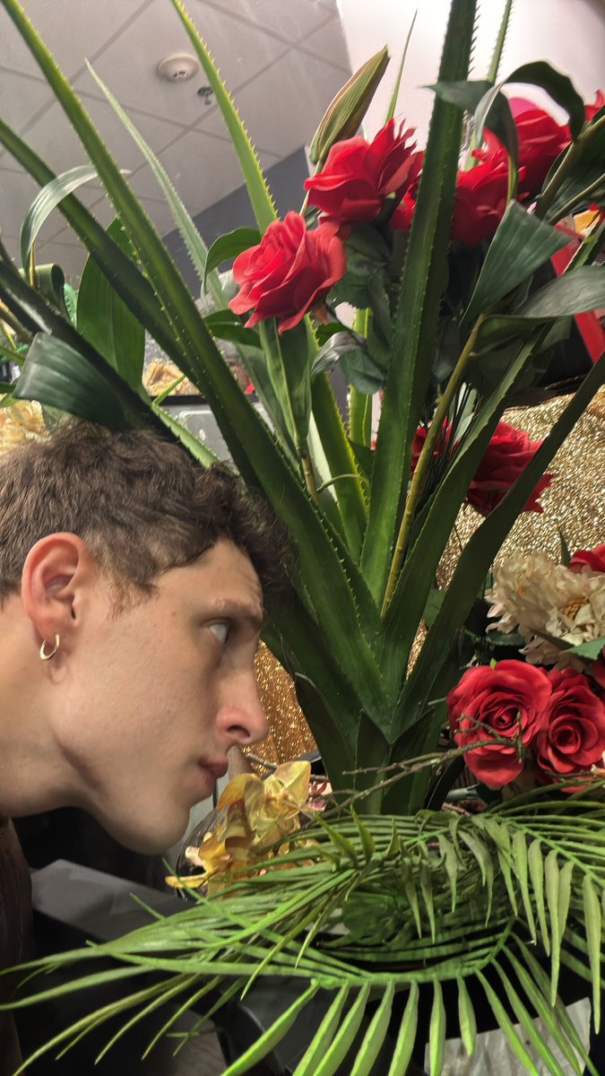 Diego Martins | TANTO tweet media