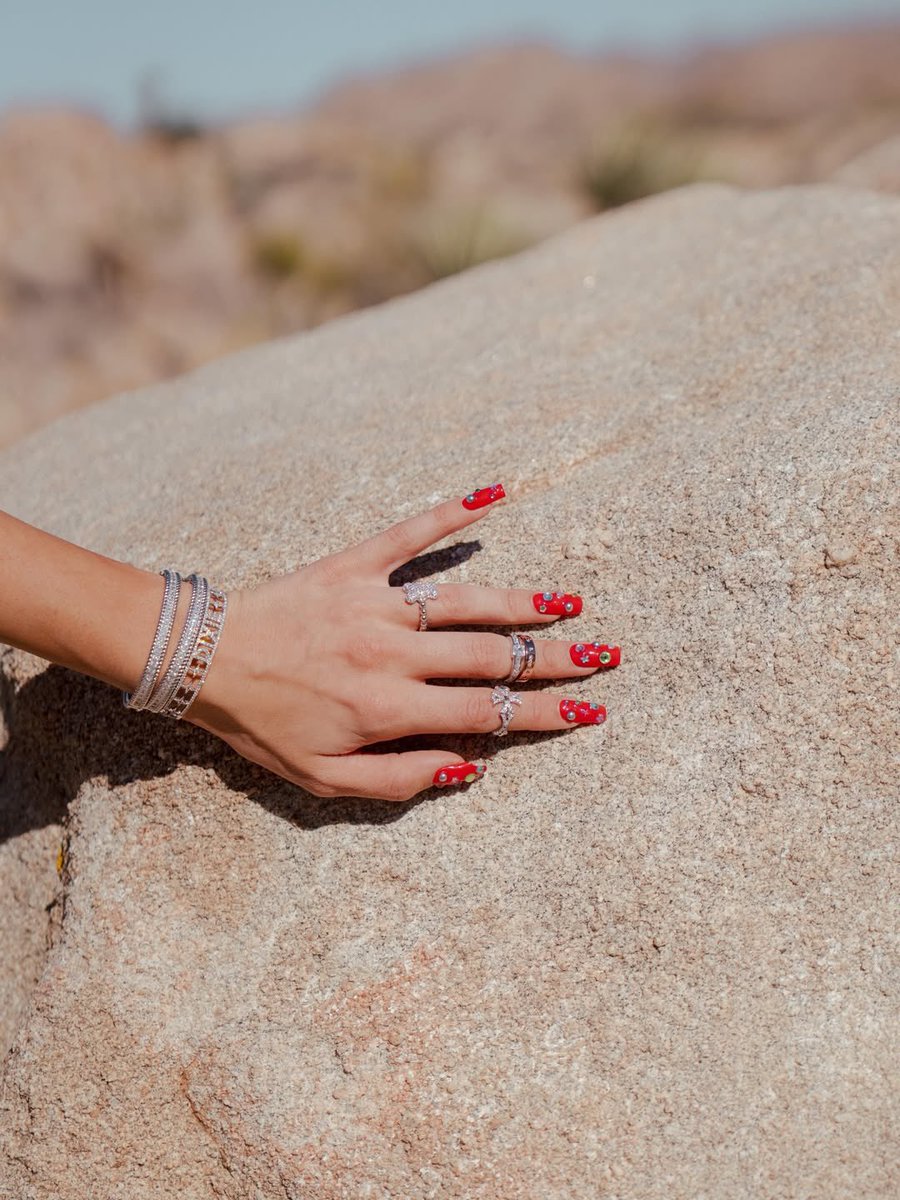 Dixie Updates BR | Fan Account tweet media