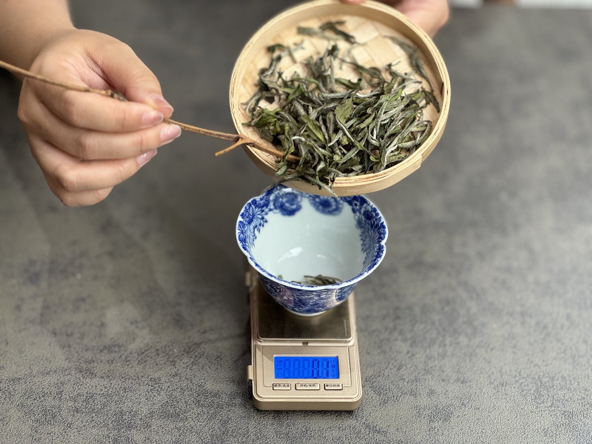 Shane Bell tweet media