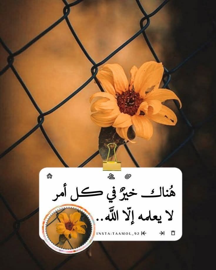 amal_saad11's tweet photo. ...✍...

●  لا تيأس على حزن غمر حياتك .....
 ولا هماً استعمر قلبك .... 
فيوماً ما ستدرك أنه خيراً لك ...
 سيأتيك الله بالخير ويبهرك بالعطاء لينسيك تلك المرارة ...
 ثق بالله 🧡🍃 https://t.co/fXwEmmFtCh